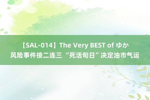 【SAL-014】The Very BEST of ゆか 风险事件接二连三 “死活旬日”决定油市气运