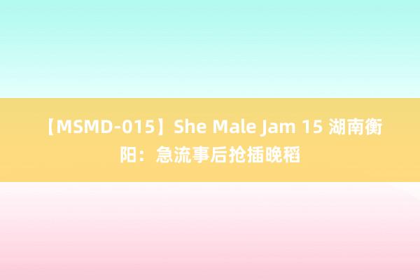 【MSMD-015】She Male Jam 15 湖南衡阳：急流事后抢插晚稻