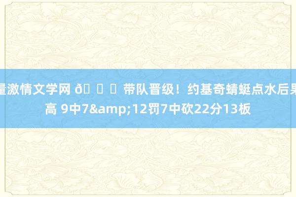 海量激情文学网 ?带队晋级！约基奇蜻蜓点水后果奇高 9中7&12罚7中砍22分13板