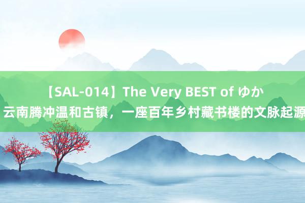 【SAL-014】The Very BEST of ゆか 云南腾冲温和古镇，一座百年乡村藏书楼的文脉起源