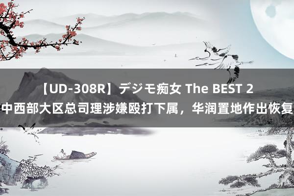 【UD-308R】デジモ痴女 The BEST 2 中西部大区总司理涉嫌殴打下属，华润置地作出恢复