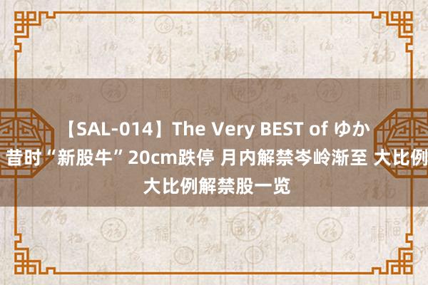 【SAL-014】The Very BEST of ゆか 解禁威压！昔时“新股牛”20cm跌停 月内解禁岑岭渐至 大比例解禁股一览