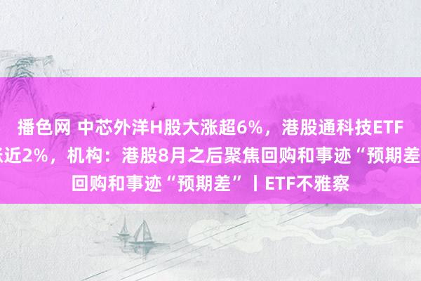 播色网 中芯外洋H股大涨超6%，港股通科技ETF（513860）涨近2%，机构：港股8月之后聚焦回购和事迹“预期差”丨ETF不雅察