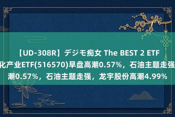 【UD-308R】デジモ痴女 The BEST 2 ETF最前列 | 易方达中证石化产业ETF(516570)早盘高潮0.57%，石油主题走强，龙宇股份高潮4.99%