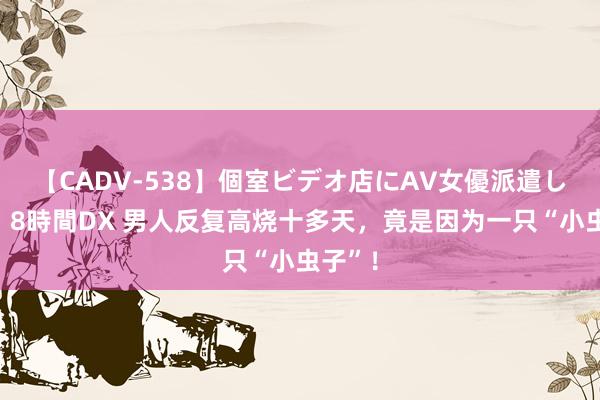 【CADV-538】個室ビデオ店にAV女優派遣します。8時間DX 男人反复高烧十多天，竟是因为一只“小虫子”！