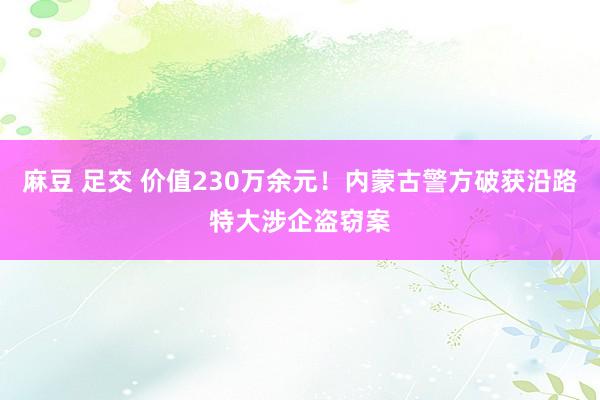 麻豆 足交 价值230万余元！内蒙古警方破获沿路特大涉企盗窃案