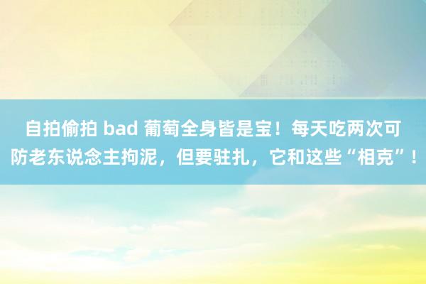 自拍偷拍 bad 葡萄全身皆是宝！每天吃两次可防老东说念主拘泥，但要驻扎，它和这些“相克”！