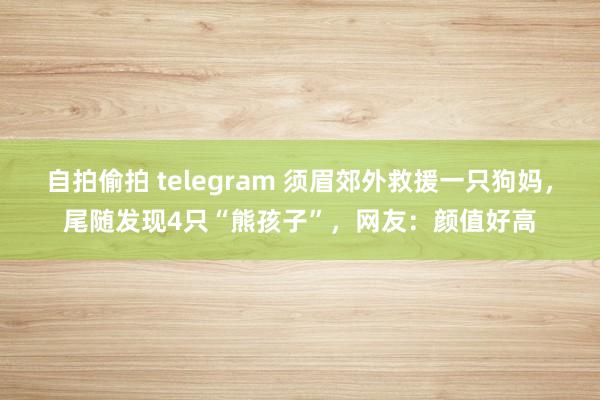 自拍偷拍 telegram 须眉郊外救援一只狗妈，尾随发现4只“熊孩子”，网友：颜值好高