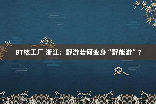 BT核工厂 浙江：野游若何变身“野能游”？