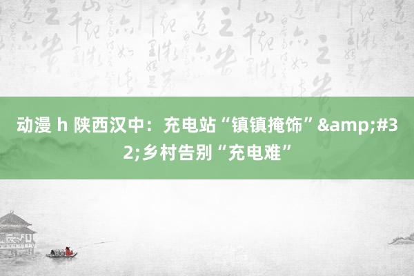 动漫 h 陕西汉中：充电站“镇镇掩饰”&#32;乡村告别“充电难”