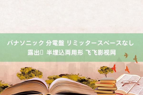 パナソニック 分電盤 リミッタースペースなし 露出・半埋込両用形 飞飞影视网