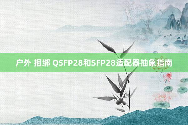 户外 捆绑 QSFP28和SFP28适配器抽象指南